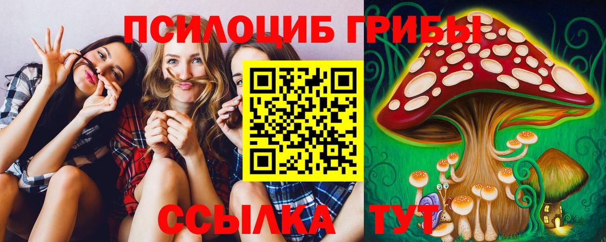 Псилоцибиновые грибы ЛСД Губкинский