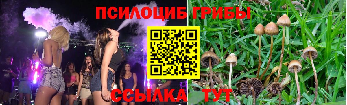 Псилоцибиновые грибы Cubensis  Вход с VPN  Губкинский 